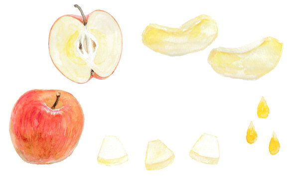 用水彩画的苹果的背景插图图片下载