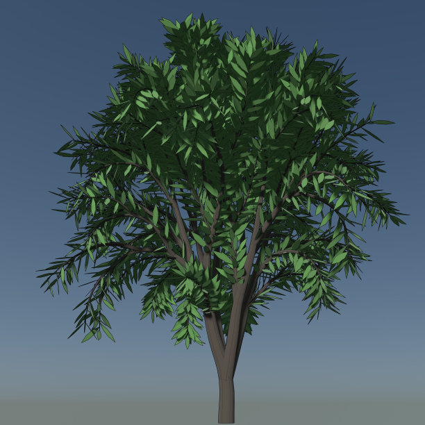 树木和植物的3D插图图片下载