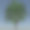 树木和植物的3D插图图片下载