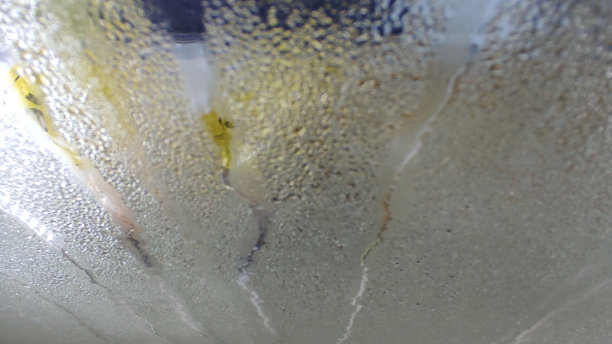 新鲜的空气图片下载