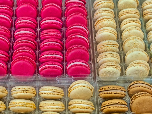 法国的Île de r<e:1>岛图片下载