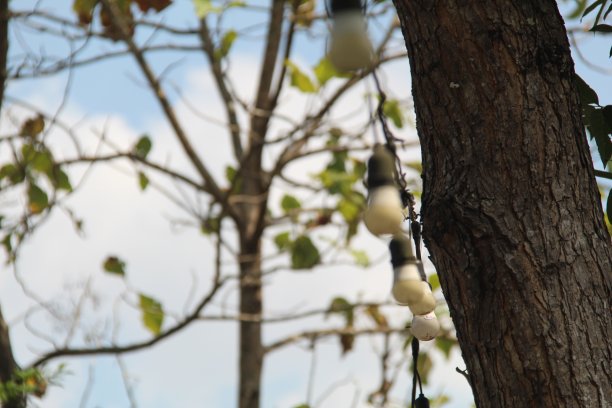 旧灯柱图片下载