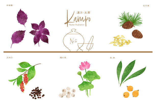 草药成分说明集图片下载