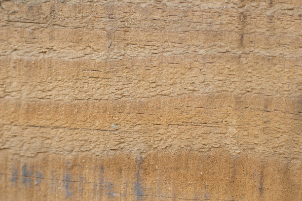 照片的背景是桃花心木图片下载