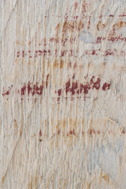 照片的背景是桃花心木图片下载