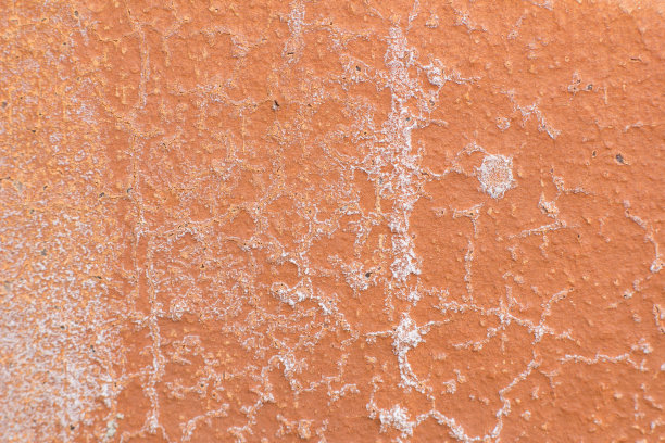 照片的背景是桃花心木图片下载