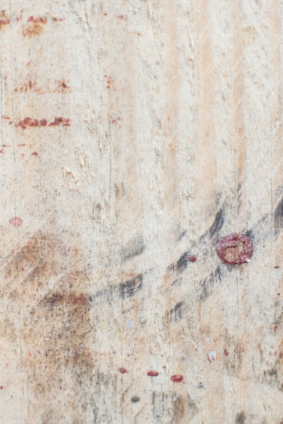 照片的背景是桃花心木图片下载