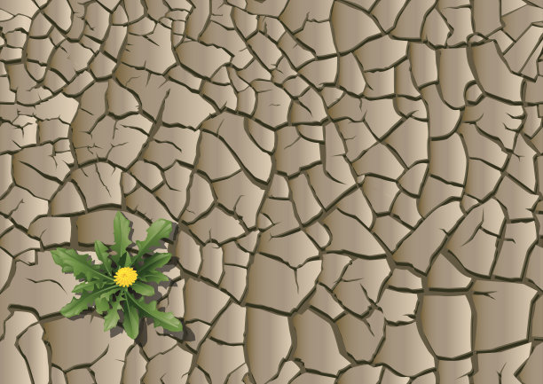 干土与植物无缝衔接图片下载