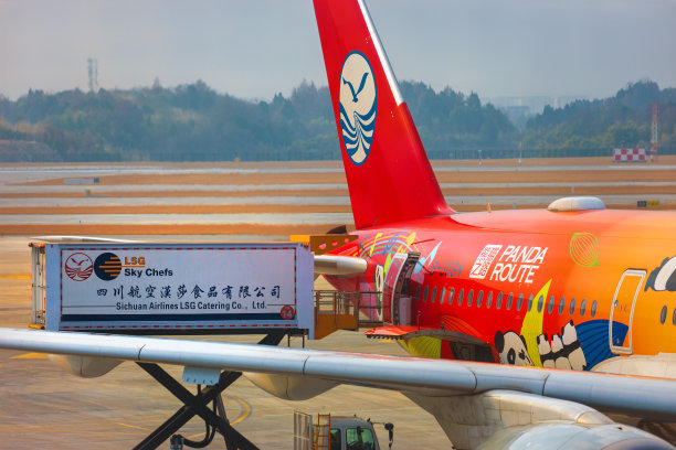 在中国的飞机上装载机上餐饮图片下载