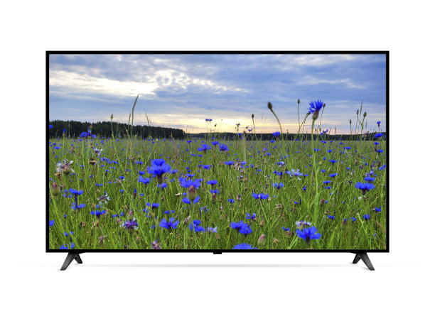 屏幕上有蓝色矢车菊田的智能电视图片下载