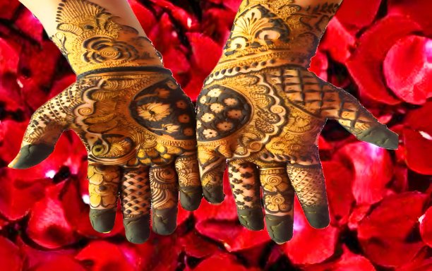 女孩的手的肖像显示Mehandi设计与玫瑰花瓣在背景股票照片图片下载