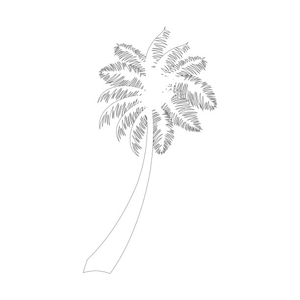 棕榈树素描图标矢量图片下载