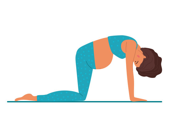 猫的姿势。孕妇在做瑜伽。穿着运动服的妇女在垫子上做运动。体式使脊柱和肩膀灵活。妇女健康，积极的生活方式和婴儿保健。产前Marjariasana。图片下载