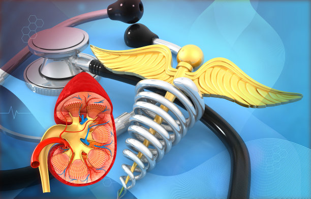 人体肾脏解剖在听诊器和医学墨丘利斯符号背景图片下载