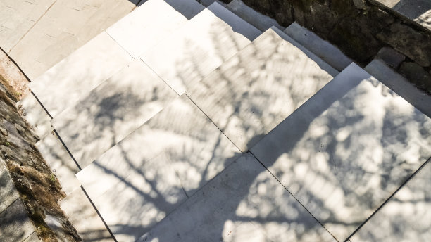 灰色水泥台阶的特写照片，树枝阴影和阳光的对比曝光。混凝土楼梯。抽象的背景。图片下载