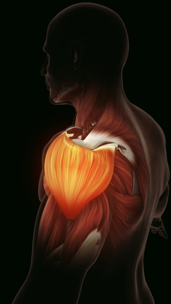 突出肩部肌肉的疼痛和紧张图片下载