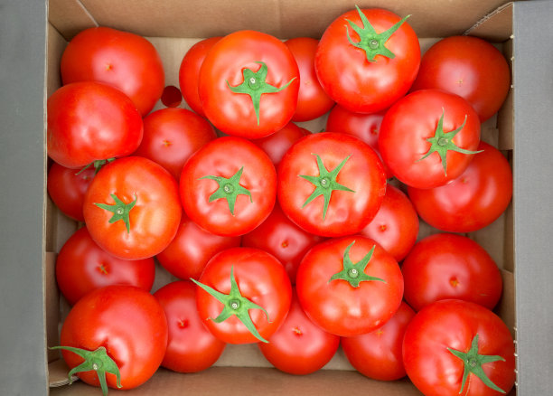 盒子里有机番茄的特写照片，选择性聚焦。图片下载