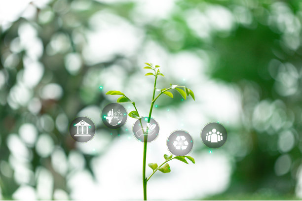 促进可持续能源和绿色做法对于保护地球环境资源和确保健康的全球生态至关重要。地球、生态、环保、可持续、绿色。图片下载