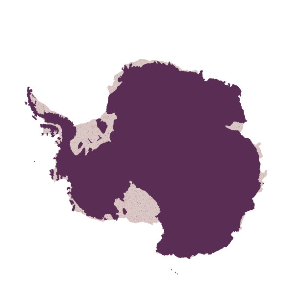 南极洲地图，标志剪影。世界地图地球仪。矢量插图隔离在白色背景上。南极大陆图片下载