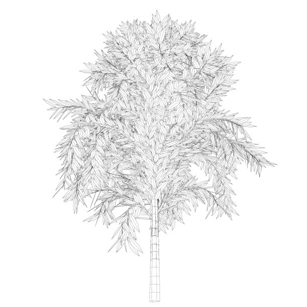 树木和植物的3D插图图片下载