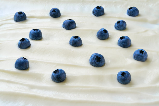 有机酸奶与新鲜蓝莓，食品背景的微距照片。美味的蓝莓益生菌酸奶，近一点。图片下载