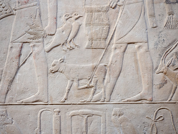 卡盖姆尼埃及陵墓内部的动物浮雕图片下载