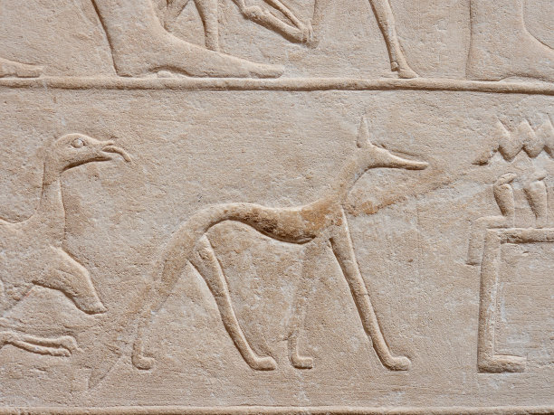 卡吉姆尼埃及陵墓内部的狗浮雕图片下载