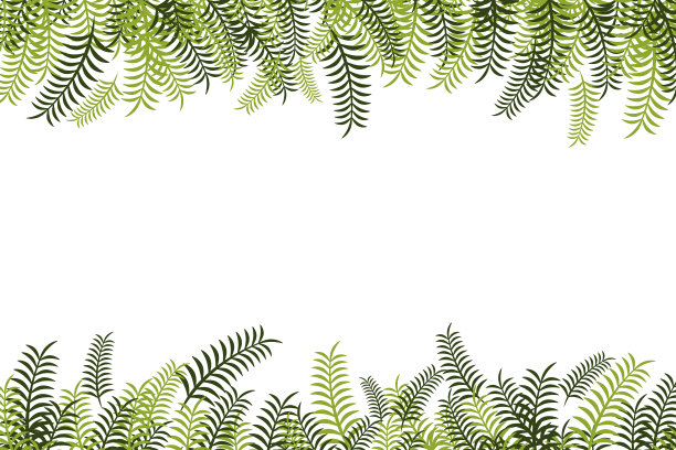 叶子棕榈油插图设计模板图片下载