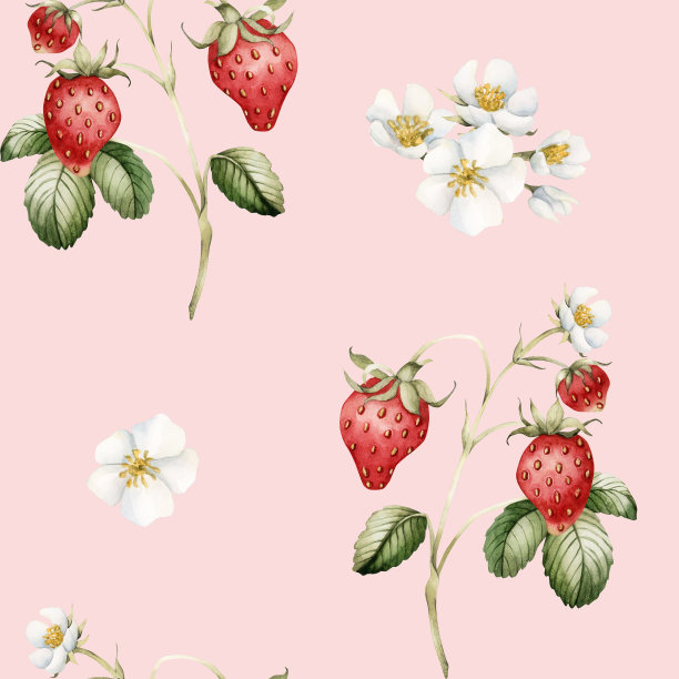 草莓，成熟的浆果，有花。水彩插图，花无缝图案桃红的背景图片下载