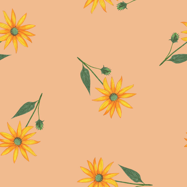 Topinambur花无缝图案。花卉数码纸。图片下载