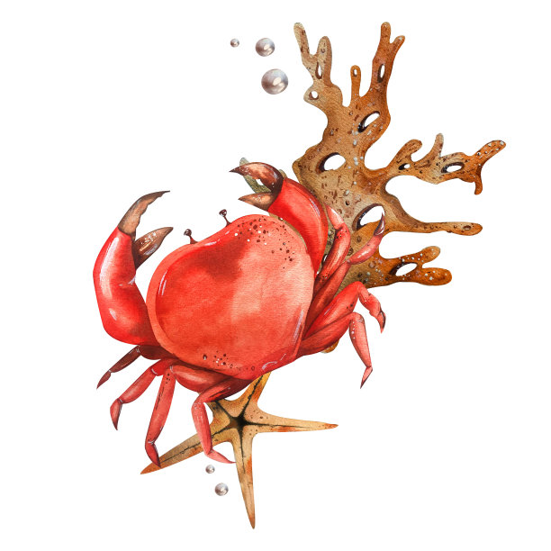 明亮美丽的螃蟹，珊瑚。红色的。海滩度假系列。水彩插图。采购产品咖啡馆和餐厅菜单，家用纺织品，传单，海报，纺织品，配件图片下载