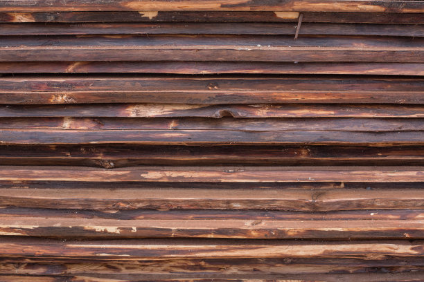 照片的背景是桃花心木图片下载