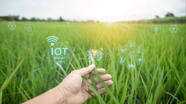 一只手拿着一片草叶，上面写着“物联网智能农业”图片下载