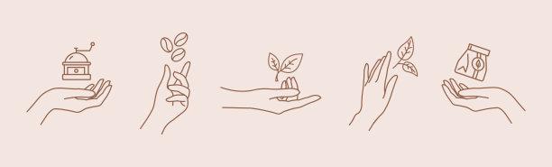 女性手与咖啡豆和茶叶细线图标集。向量图片下载