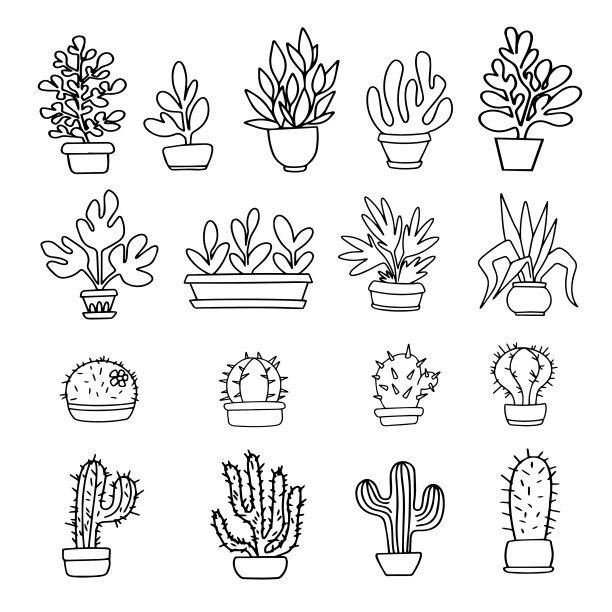 矢量集涂鸦的室内植物。美丽的室内盆栽植物。装饰花园花的办公室和家庭装饰，孤立的轮廓插图在白色的背景图片下载