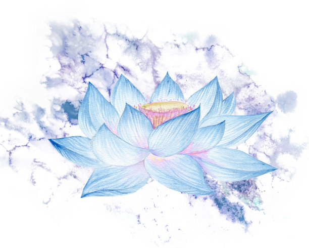 荷花,叶子。手绘水彩插图粉红色的睡莲，绿色的叶子和种子。植物绘画。配以荷花作图案。图片下载