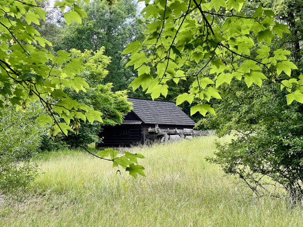 森林里的木屋，绿油油的。图片下载