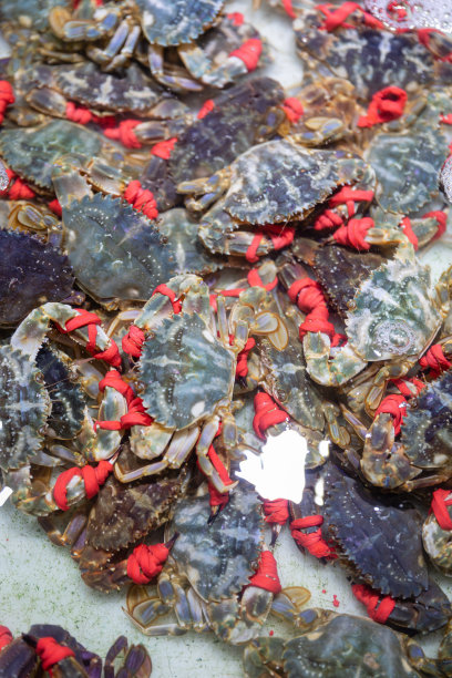 海鲜市场上的活螃蟹图片下载