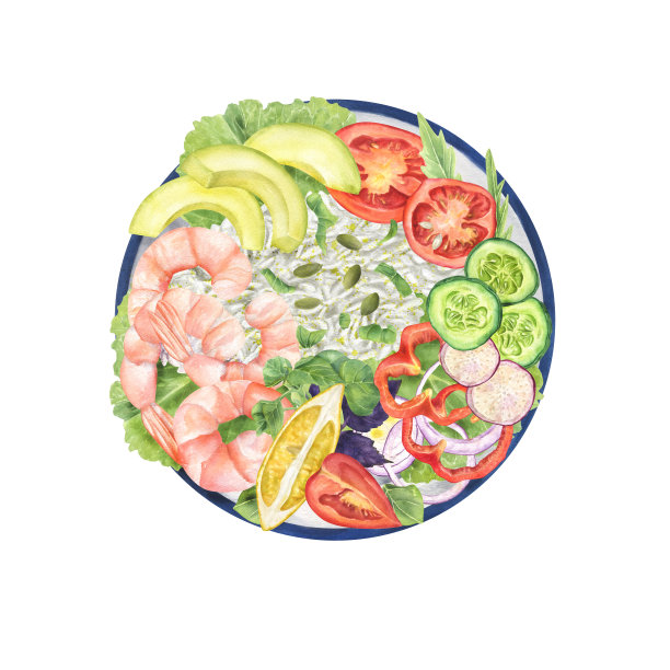 虾、米、柠檬和新鲜蔬菜在圆板水彩孤立插图。蕃茄片、洋葱片、黄瓜片、红椒片、萝卜片、牛油果片配沙拉青菜、南瓜子。保健食品图片下载