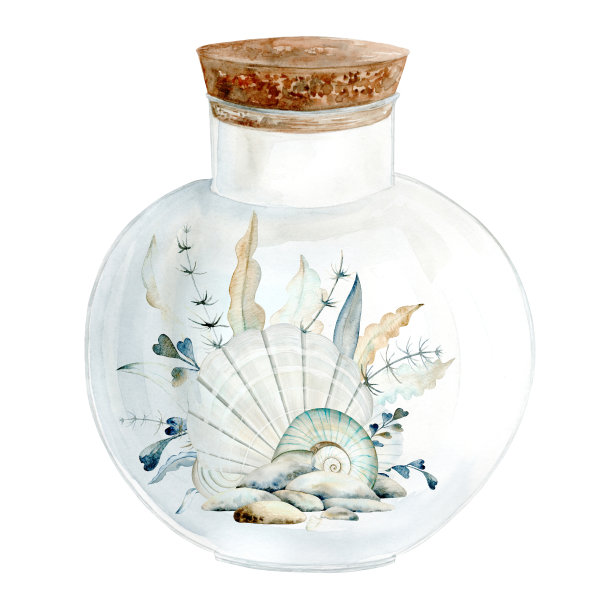将海贝壳、海藻和海星放在一个带塞子的圆形玻璃罐中。这幅水彩画是手绘在白色背景上的。适合海边和海洋的设计，明信片和纺织品。图片下载