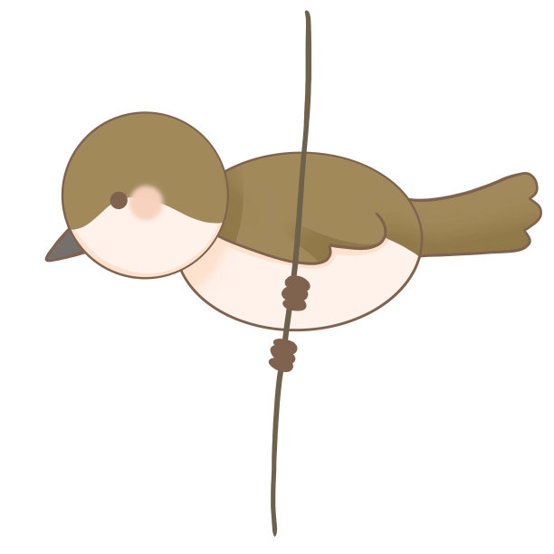 一只可爱的棕色小鸟栖息在树枝上图片下载