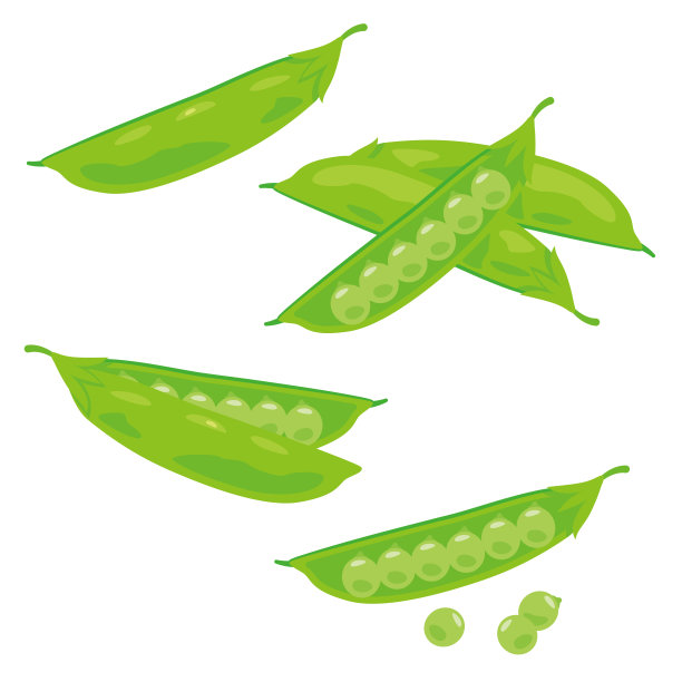 豌豆集图片下载
