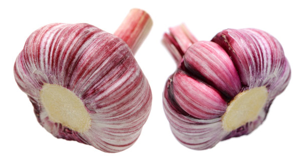 新鲜大蒜图片下载