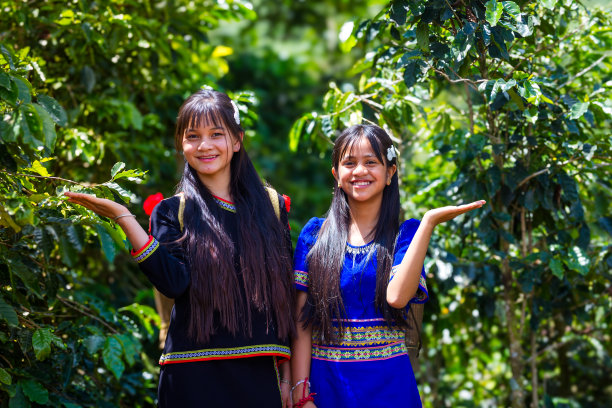 一个少数民族女孩站在越南中部高地的咖啡种植园里的高质量照片图片下载