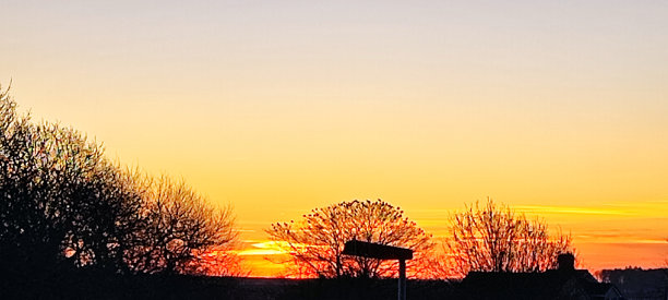 橙色、黄色和粉色的夕阳，黑色的地平线轮廓和一棵树的剪影。图片下载