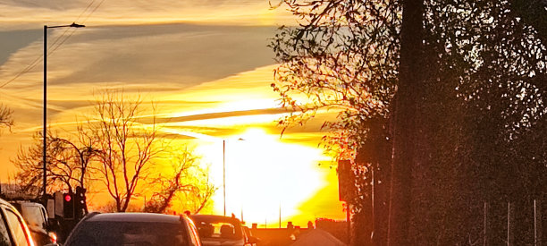 橙色、黄色和粉色的夕阳，黑色的地平线轮廓和一棵树的剪影。图片下载