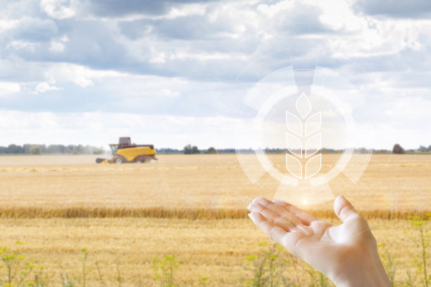 肥沃的观念和农民的辛勤劳动。图片下载