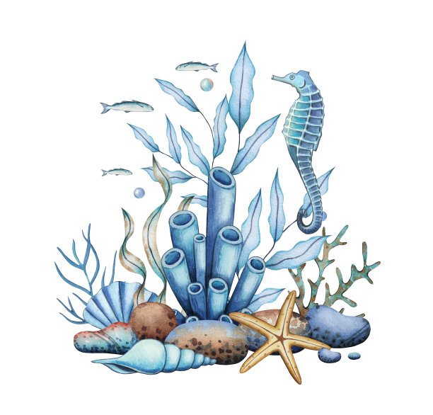 海洋成分有珊瑚、石头、海星、海马。水下世界。水彩插图图片下载