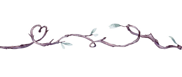 树杈心形水彩无缝边框隔离。缠绕藤本植物与精致的绿叶重复图案手绘。自然设计元素，情人节，乡村婚礼图片下载