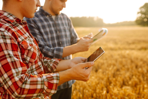 智能农业。农业技术与有机农业。图片下载